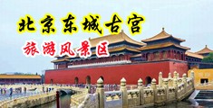 爆艹黑逼中国北京-东城古宫旅游风景区