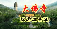 356看片网站中国浙江-新昌大佛寺旅游风景区